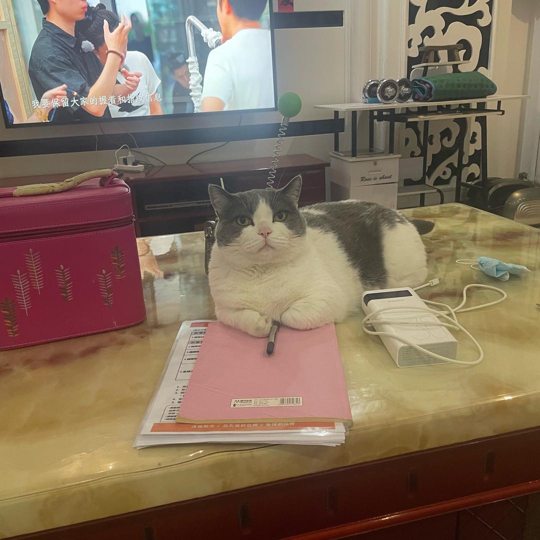 财财