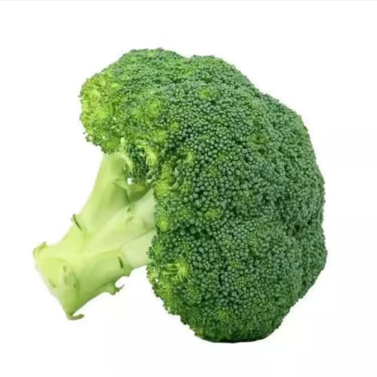健康的食物分享