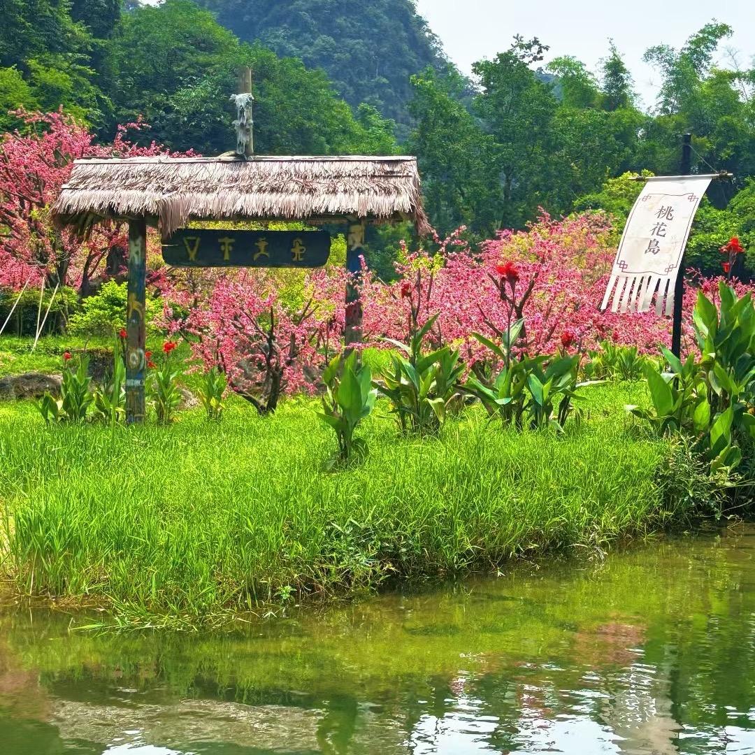 小姐姐「精致穿搭」