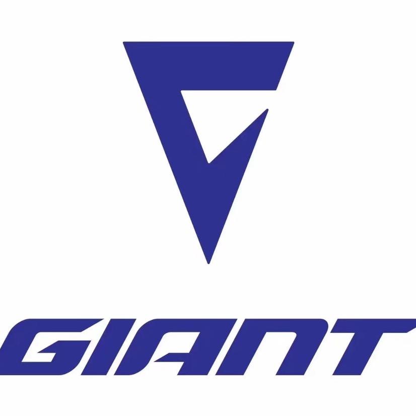 捷安特临淄大道