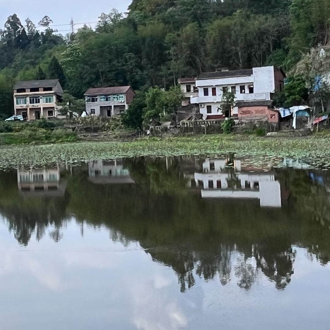 芳姐的乡居时光