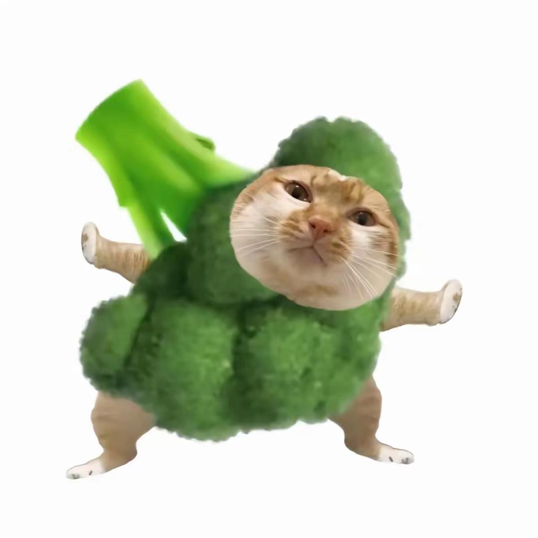 续困