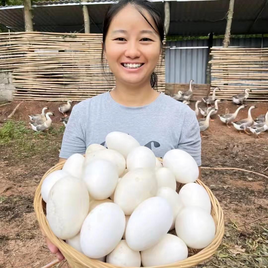 三妹家生态农场