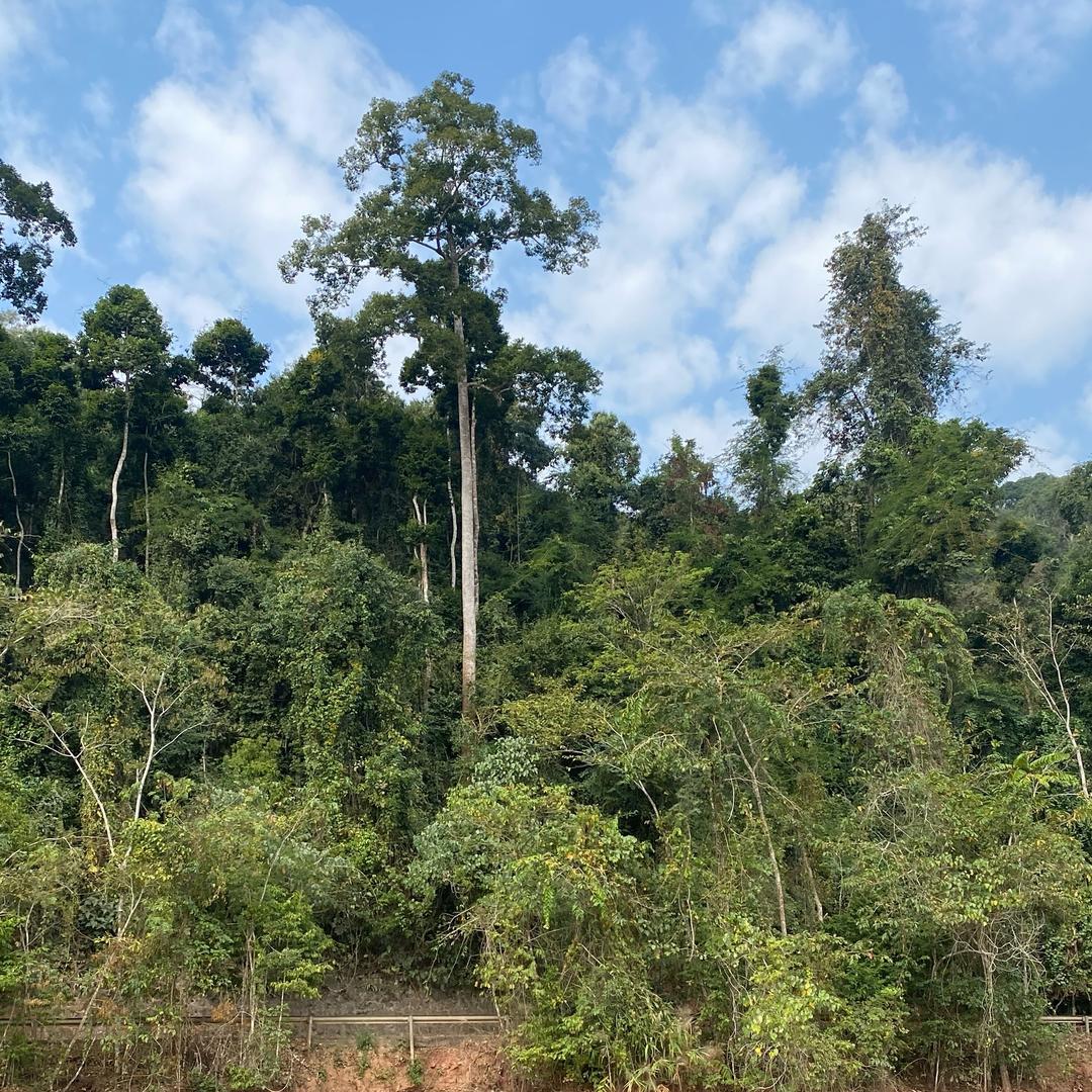 想做一个蜗牛噢