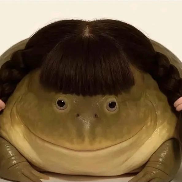 华创—小青蛙78（全能国服）