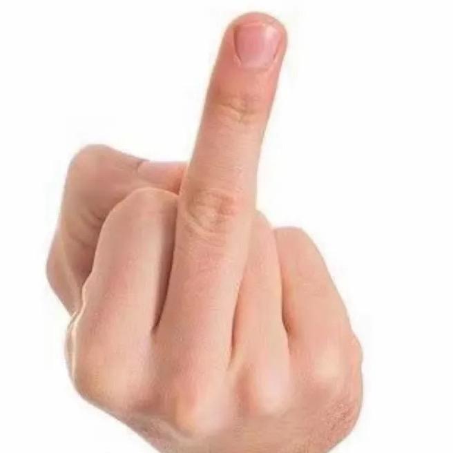 我没素质