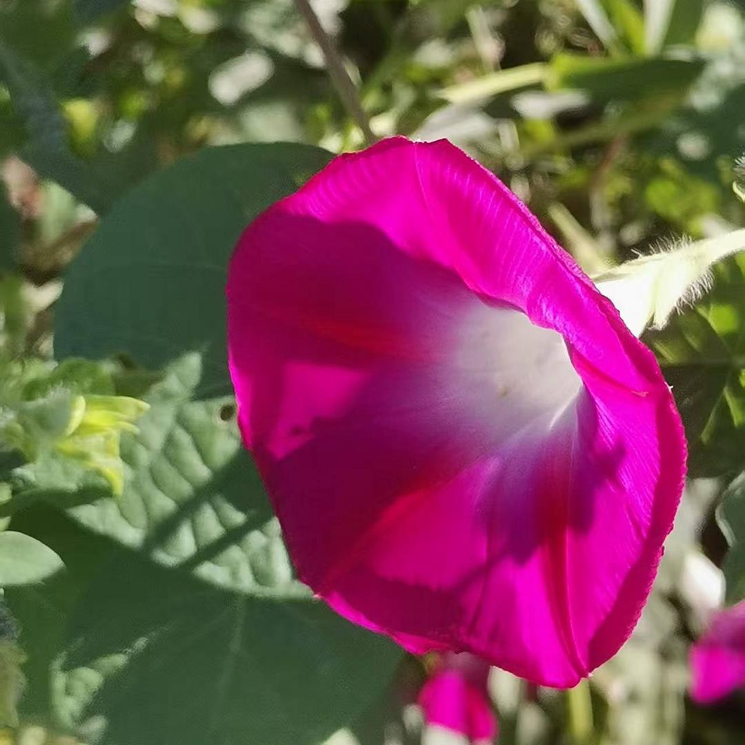 A指尖上的诱惑314