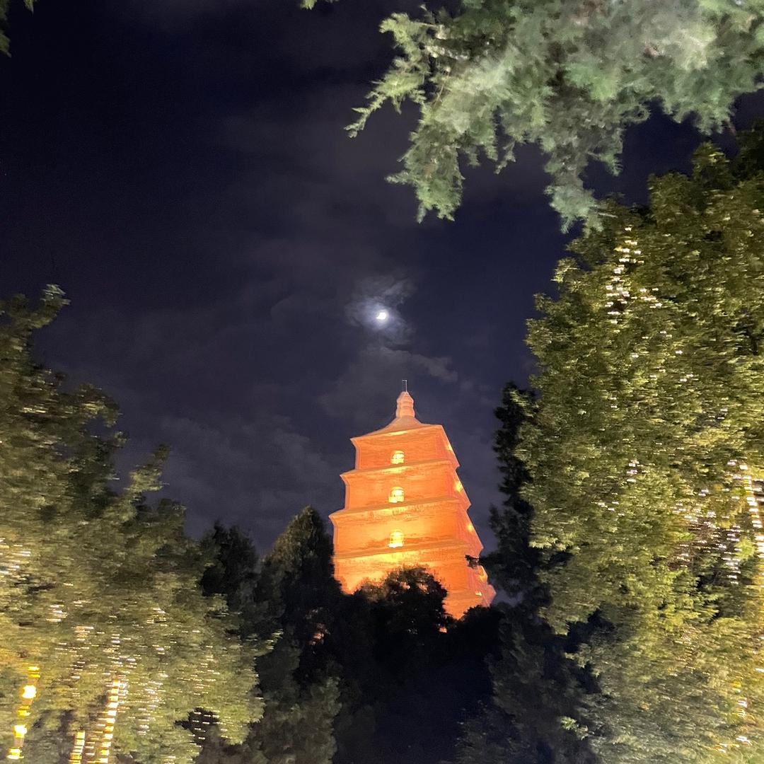 鼎鼎膳堂