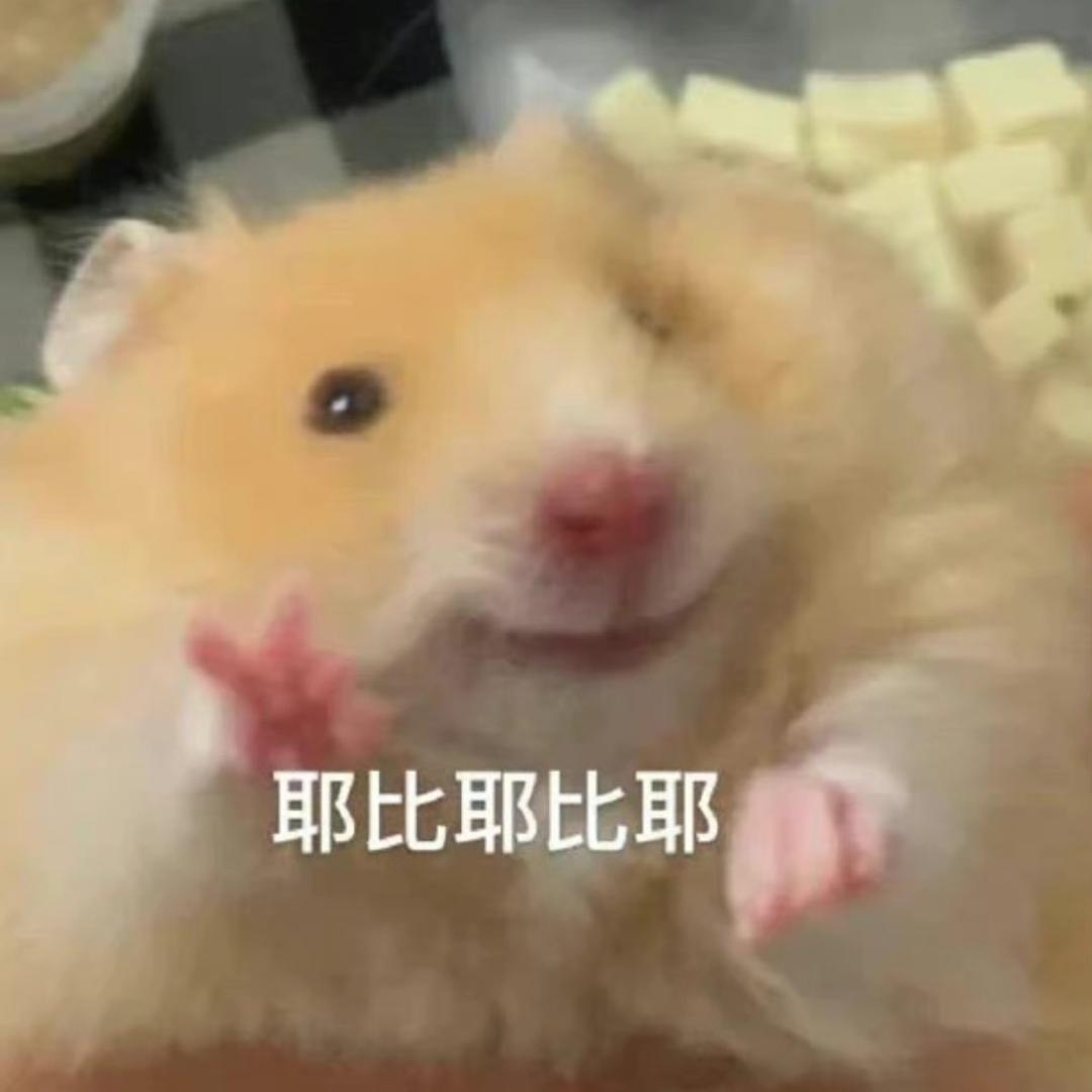 ZA—