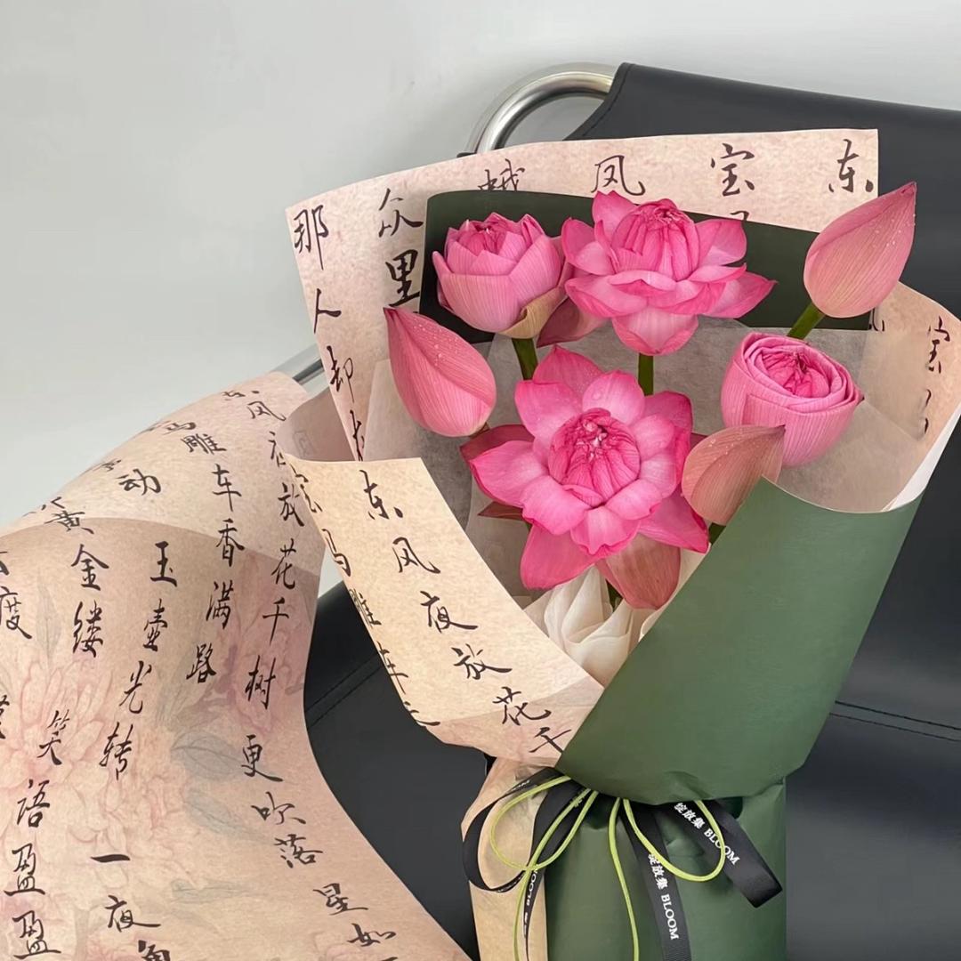 十二🪷（不要连赞）