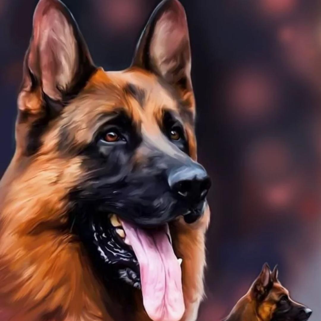 晶祥德牧养殖繁殖基地