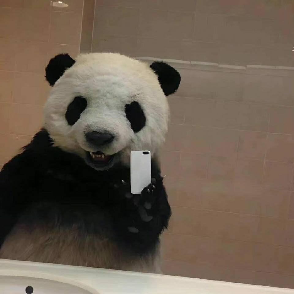 秋枫#