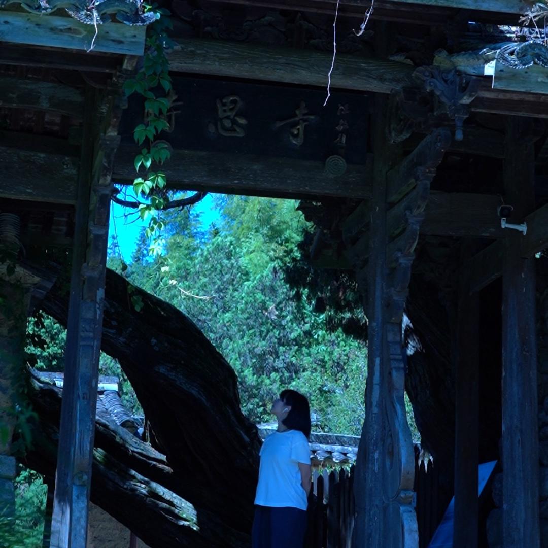 鹿鸣啊
