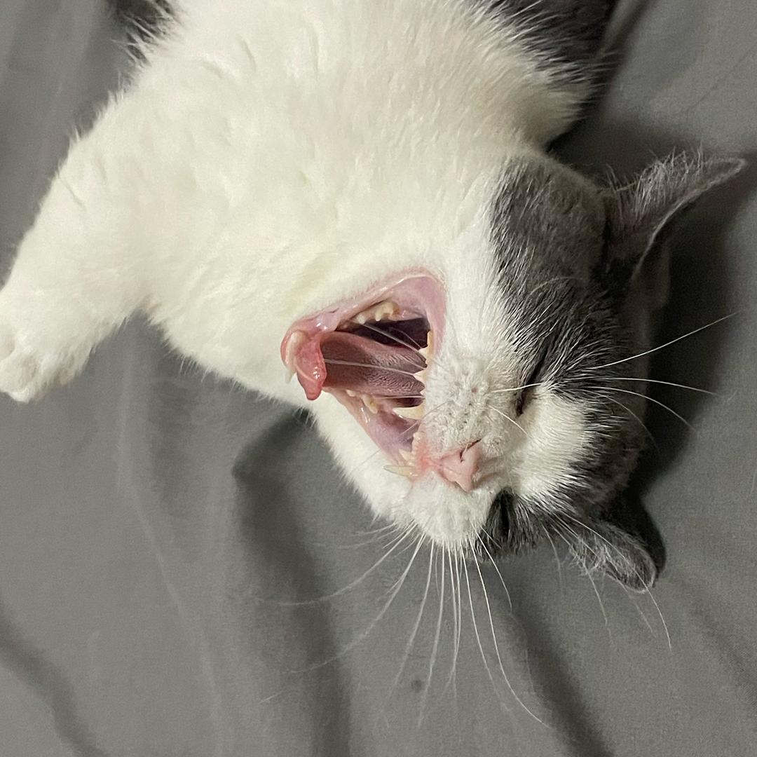 喝水喝水我爱喝水