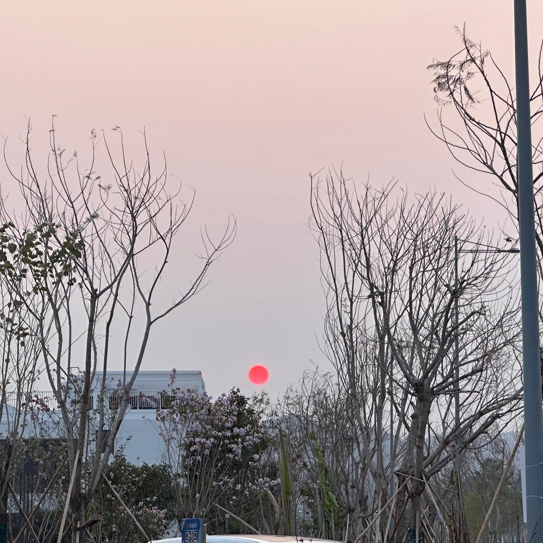 文文（请关注宁波小洛熙）