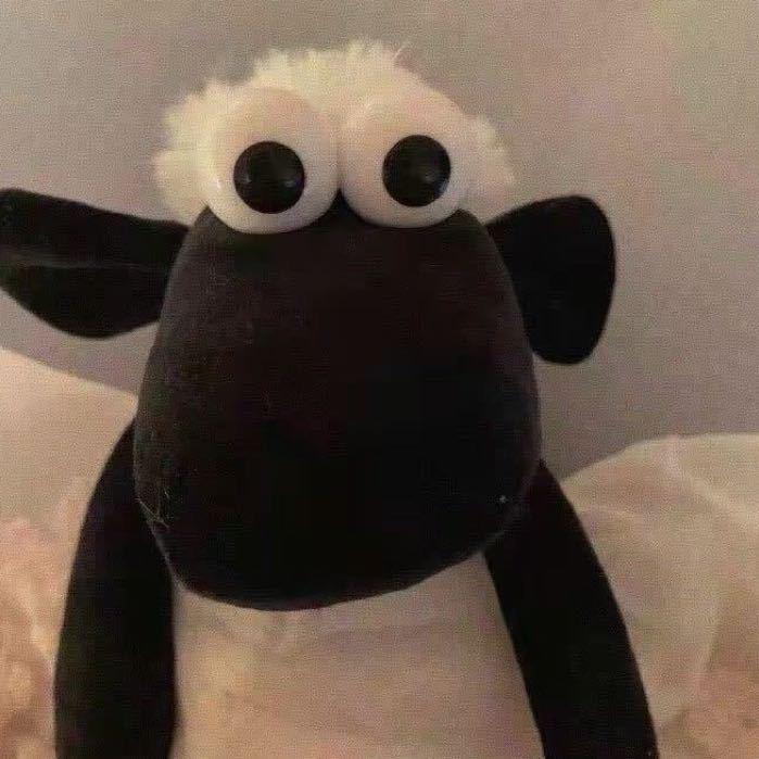 小羊肖恩(♡˙︶˙♡)🙏🏾🤞🏽