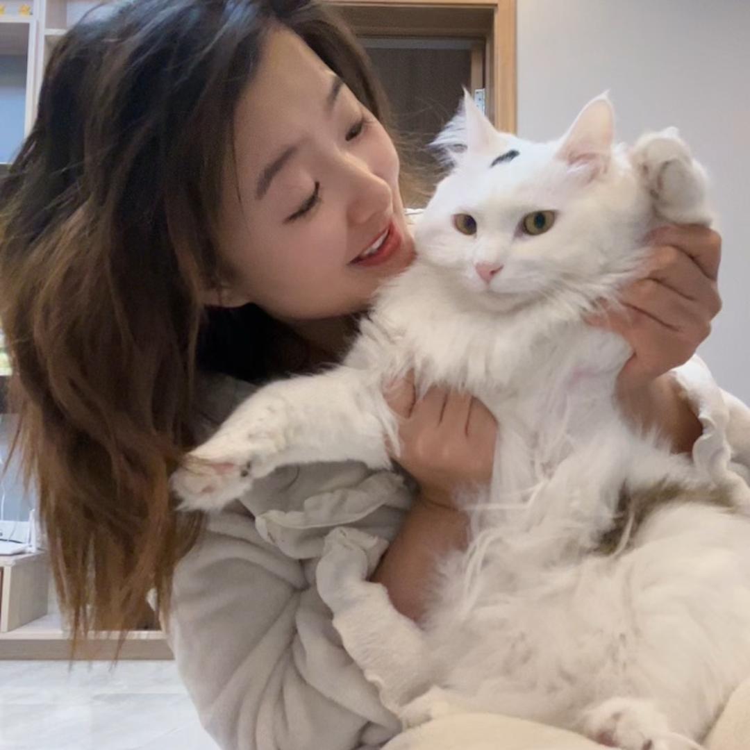 臭宝是只猫🐱