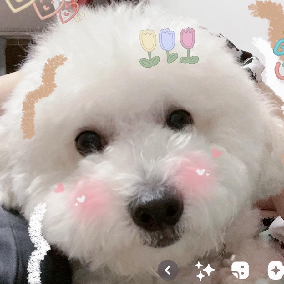 今天吹风🌸
