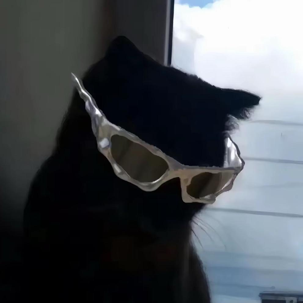 朱飞