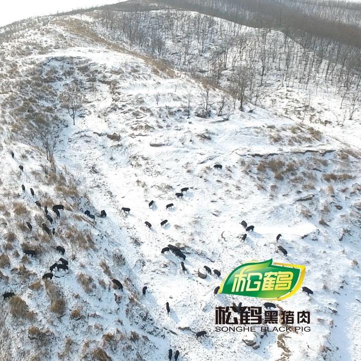 松鹤大千专卖店