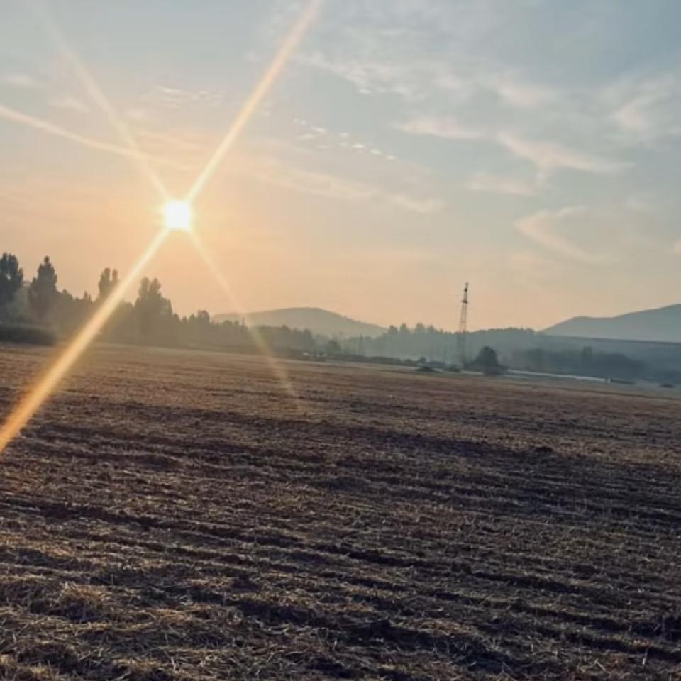 爱吃火鸡面的炮弹