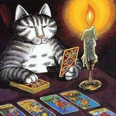 Eve の魔法小屋🛖