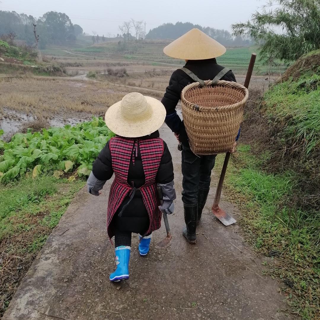 小橙子！