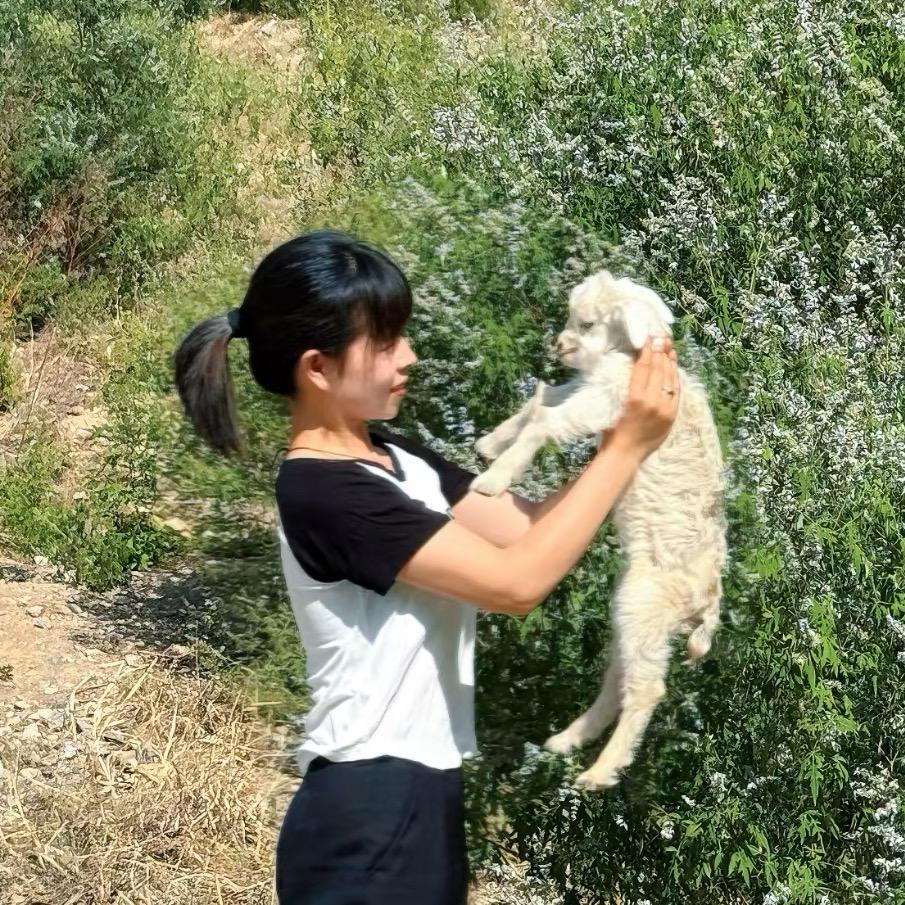 唐县养羊小师妹