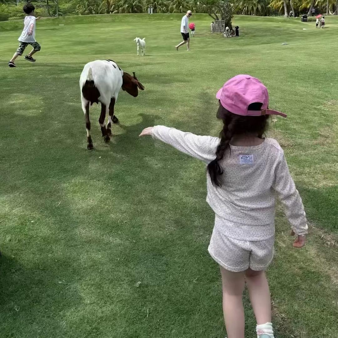 小z-