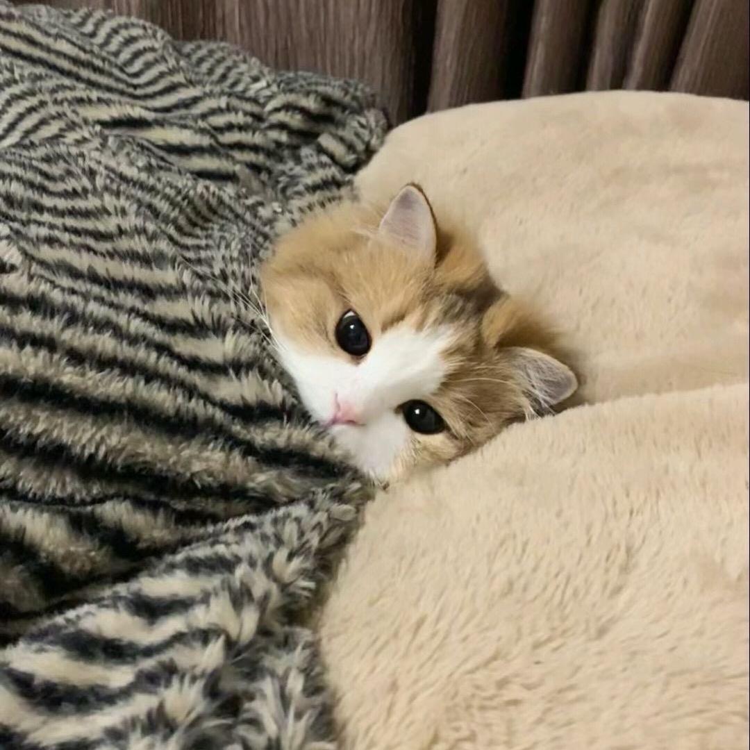 头不彤:D