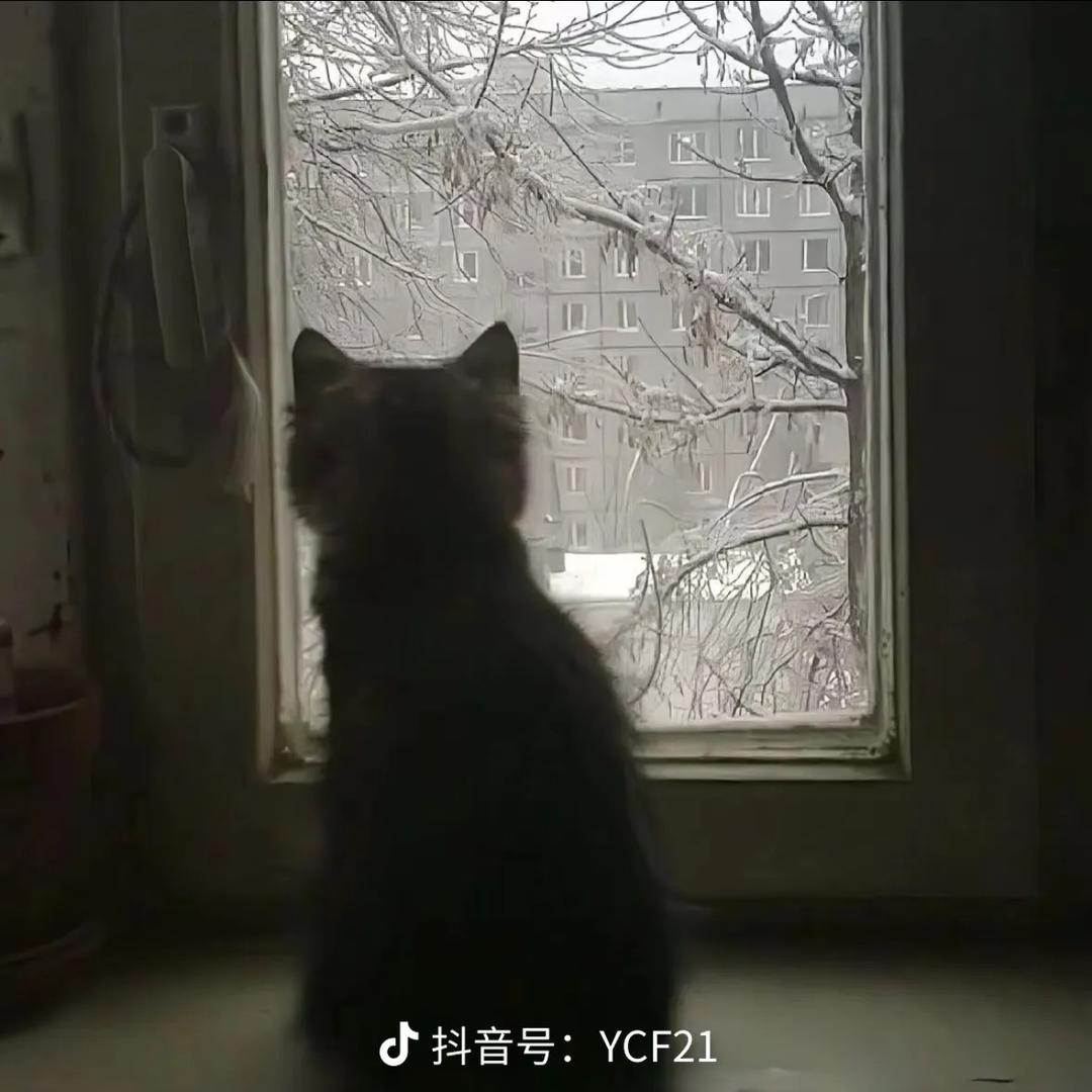 Mr金少⁹⁷ 🔞🇲🇾