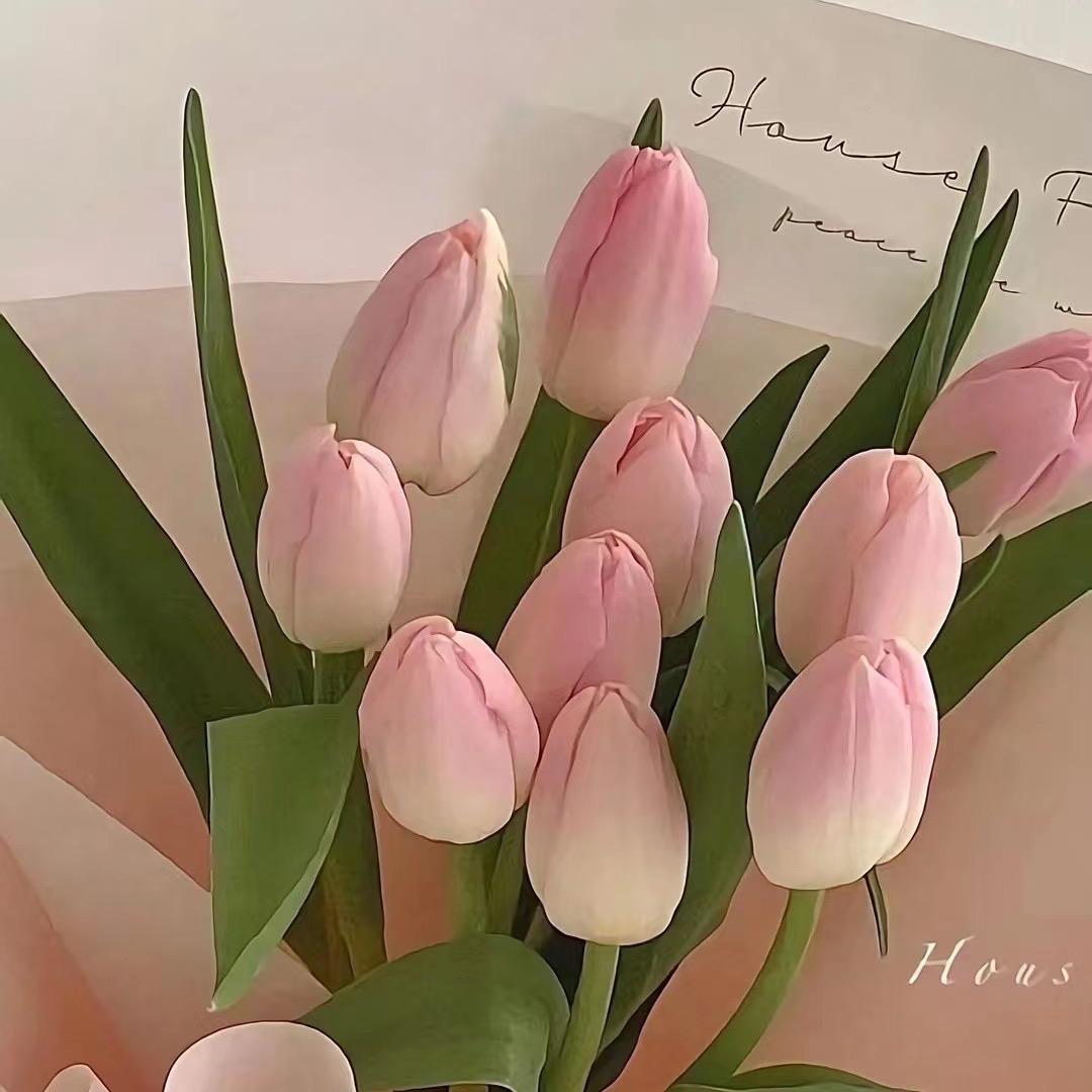 我是安安逸逸一女子