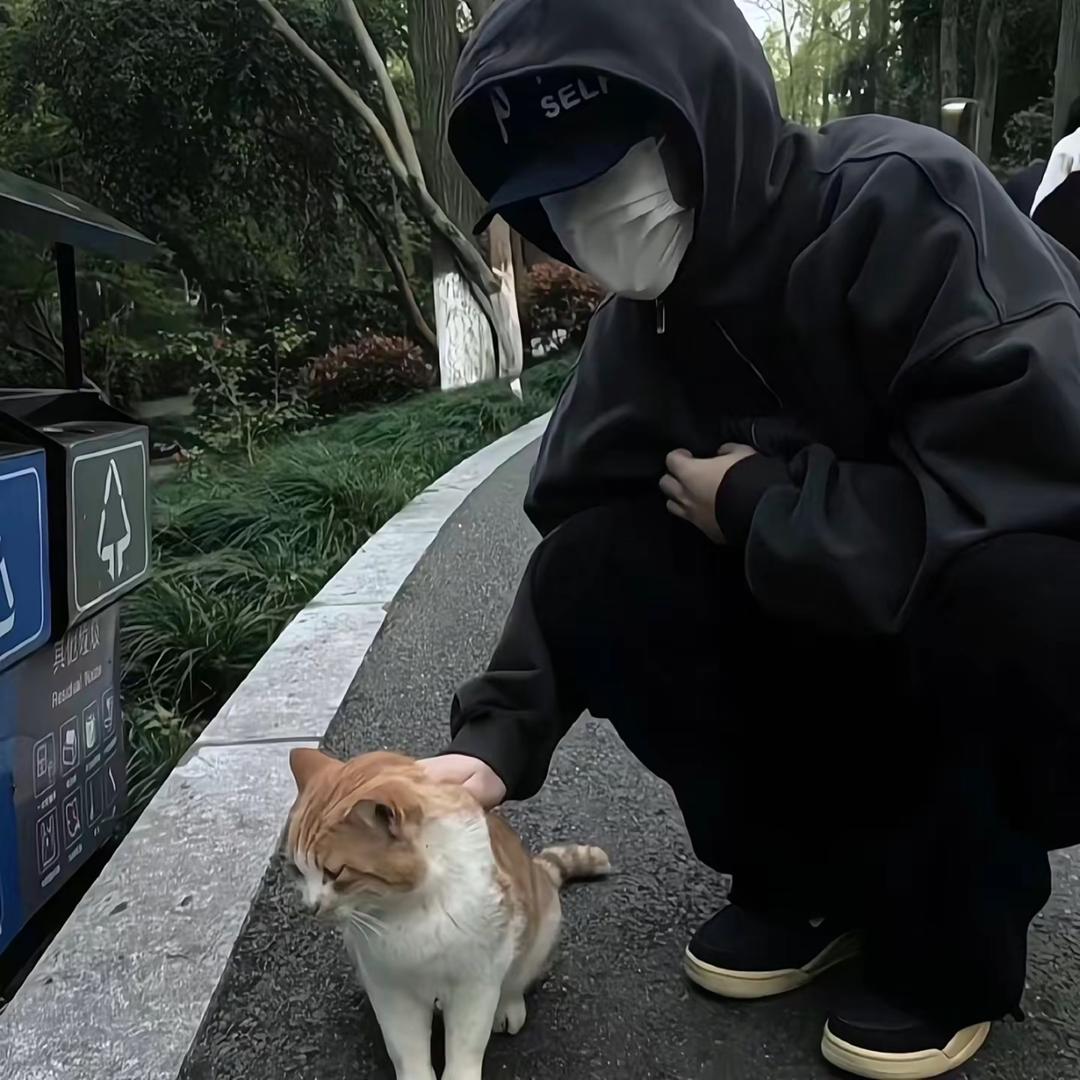 不是山谷.