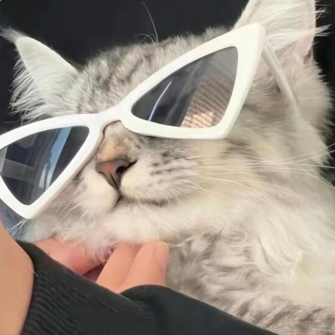 光