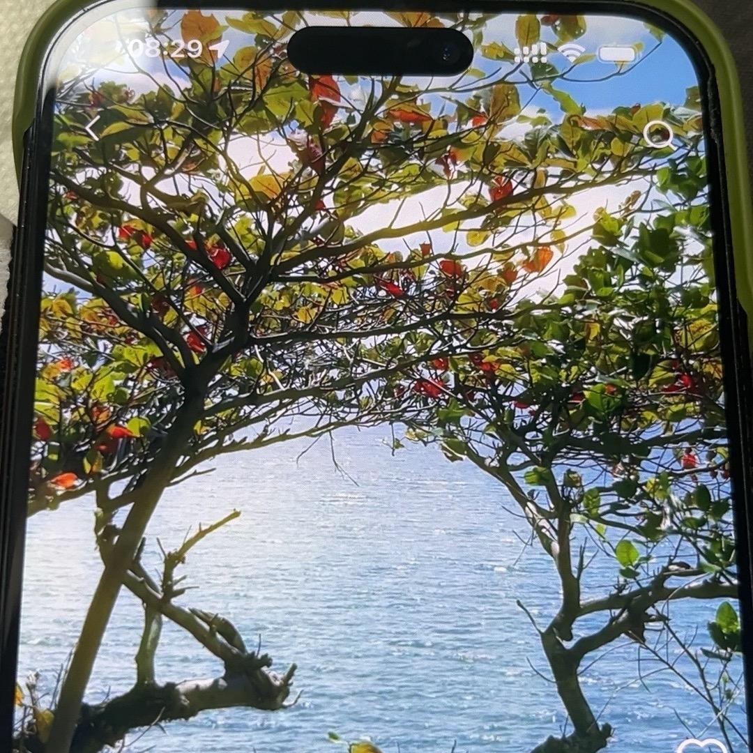 丰收户外逆变工厂