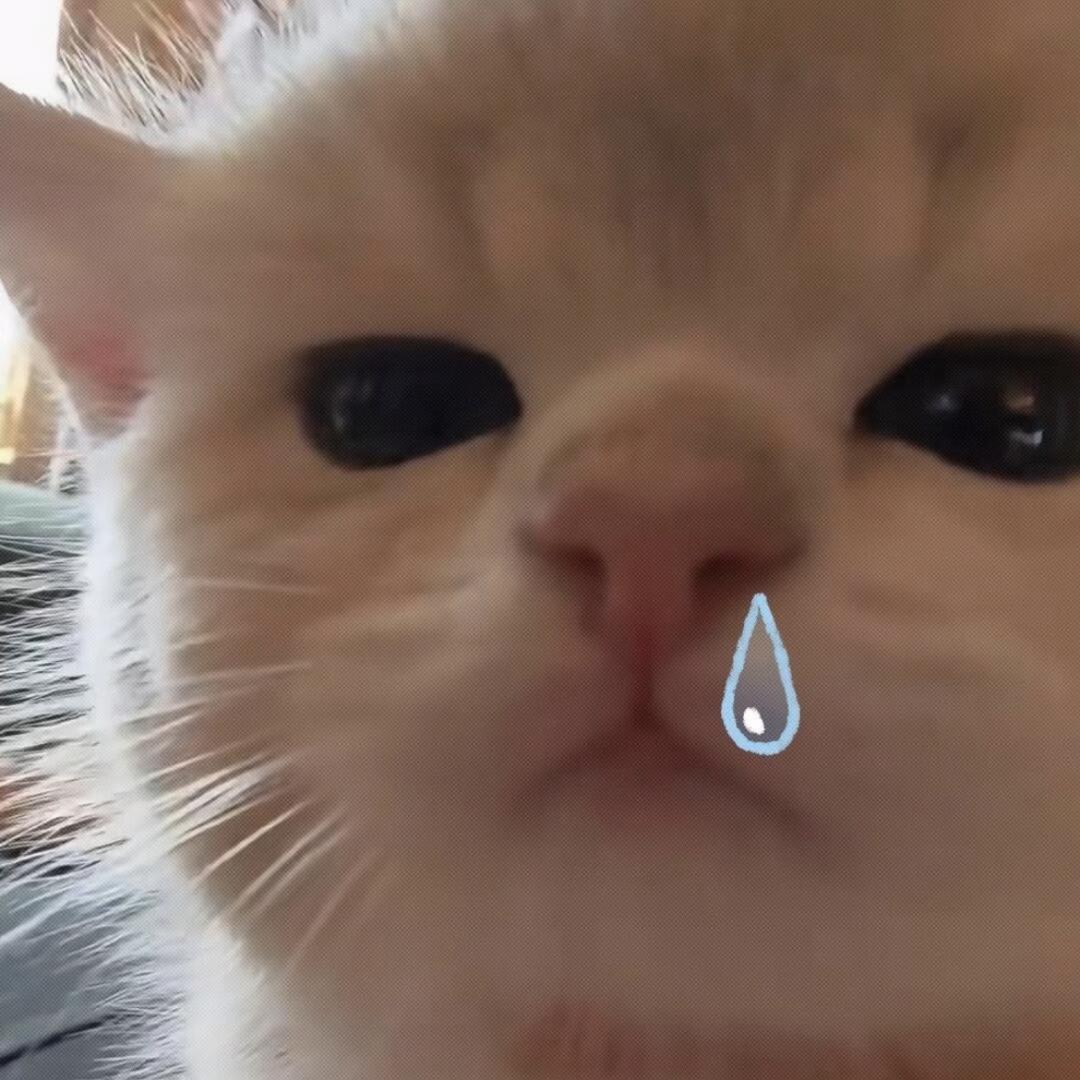 歌