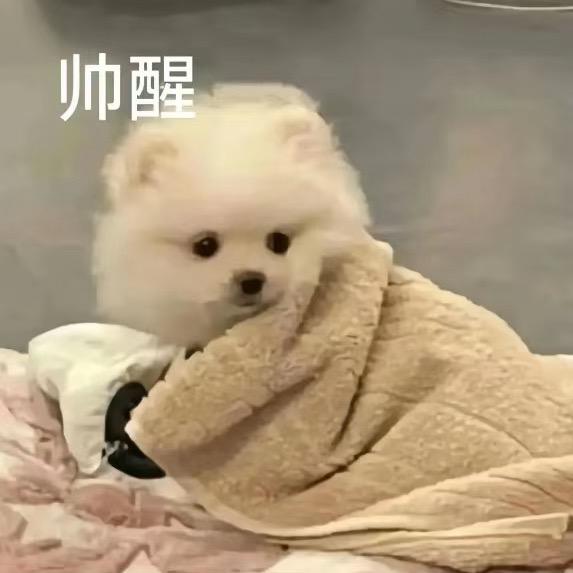 玲玲果味