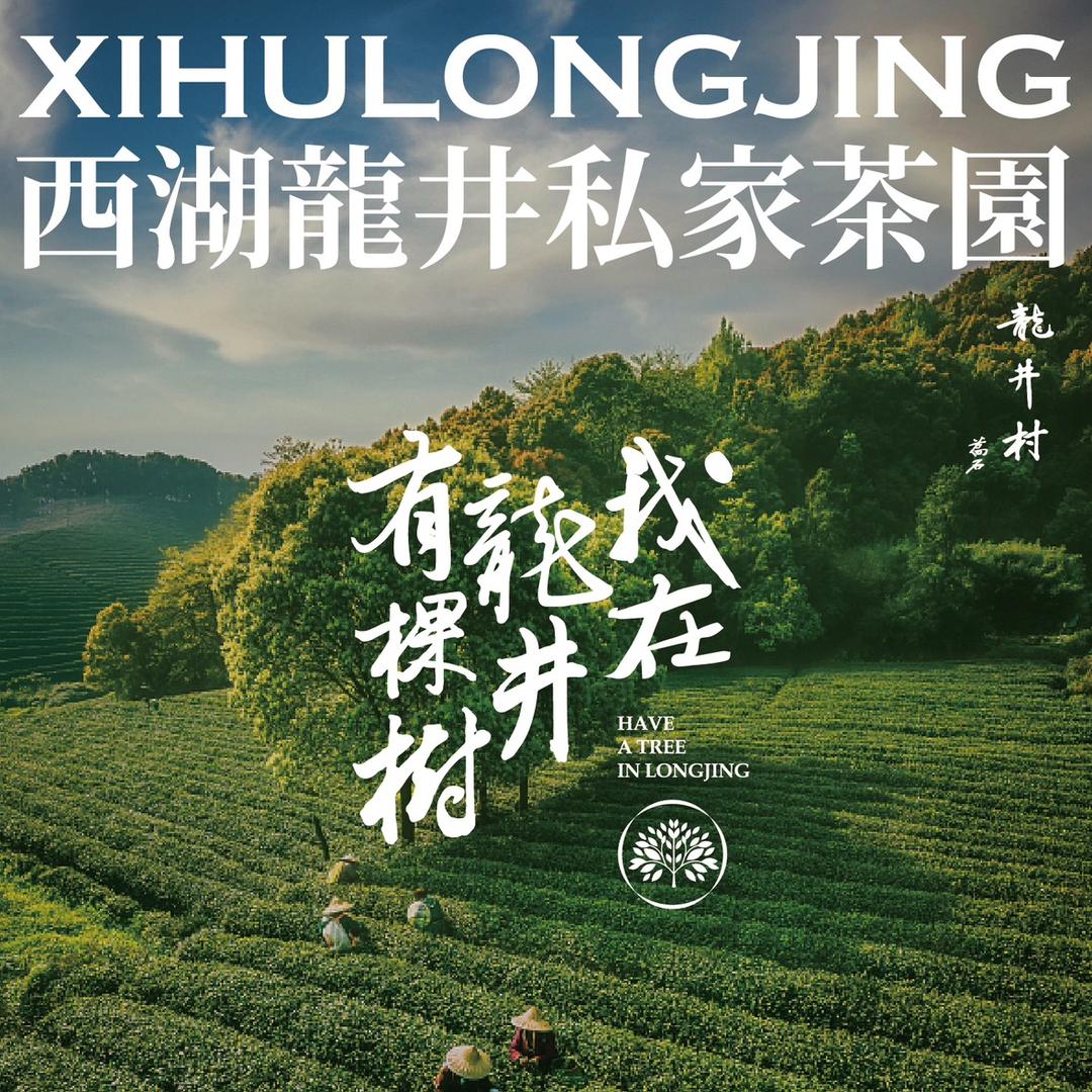 龙井先生-狮峰山茶农