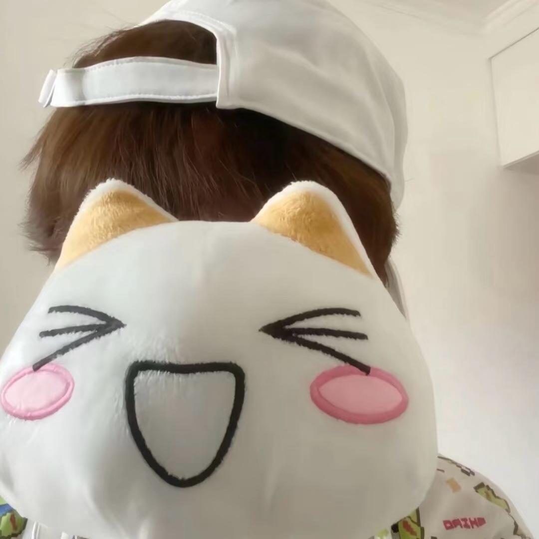 DN.飞鸟信