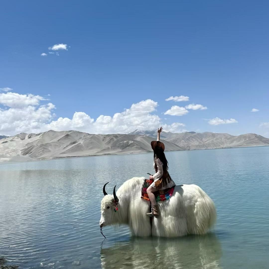 🌈风携千金来🎏