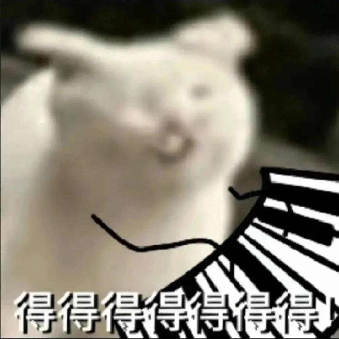 暴打纪猪猪