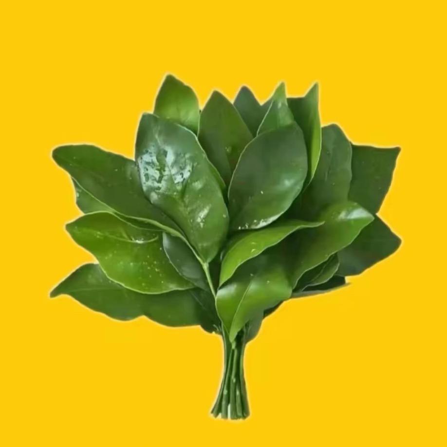 小富婆的小铺子