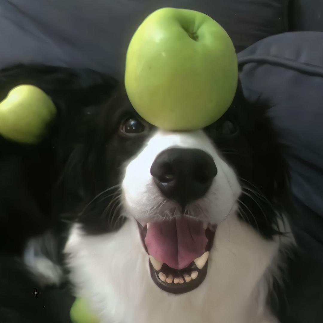 孙骁