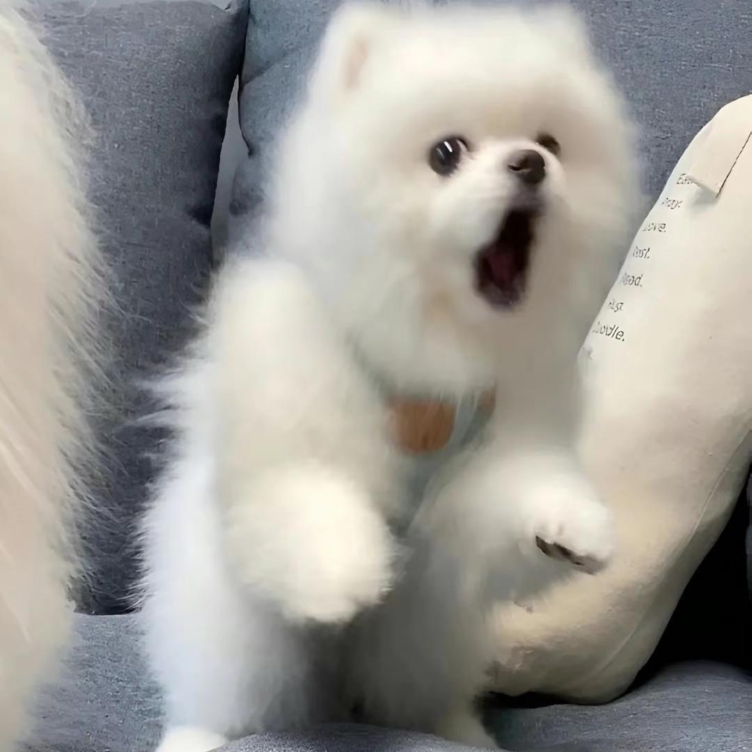 吃几口冰