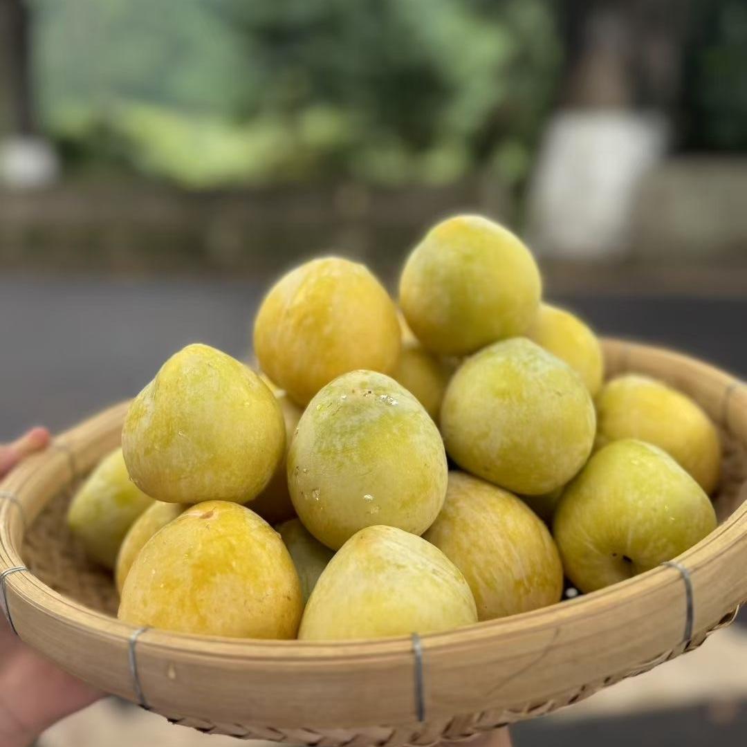 九峰甄选生鲜农业