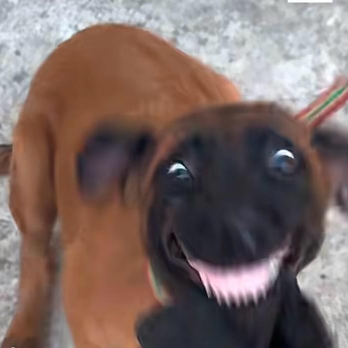 We