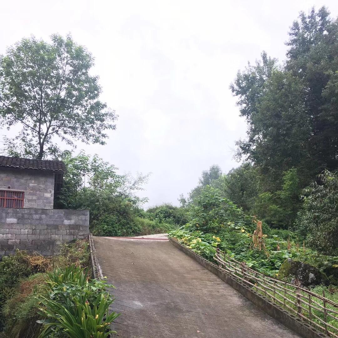 吕～维维