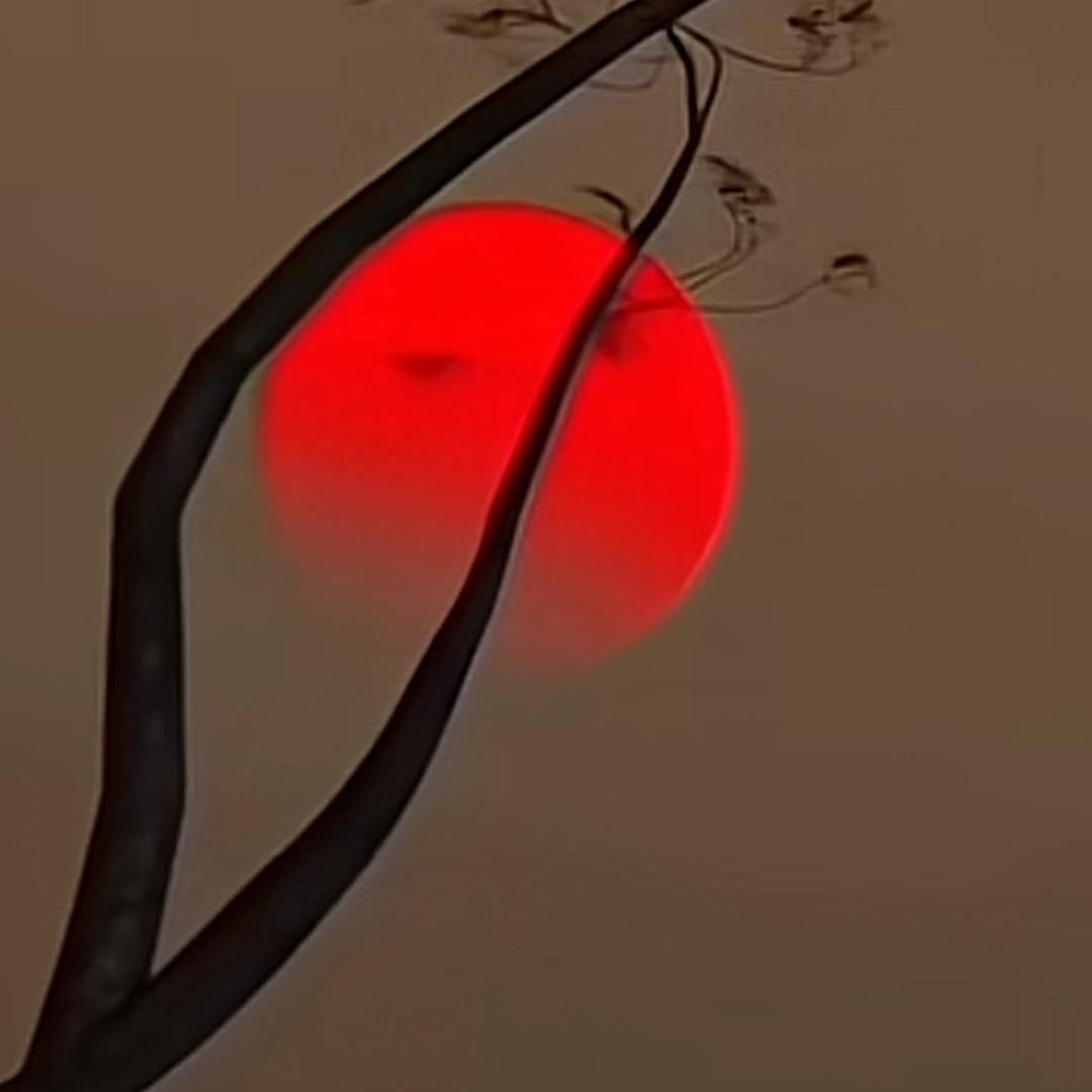 屋檐的结局🔥🥀