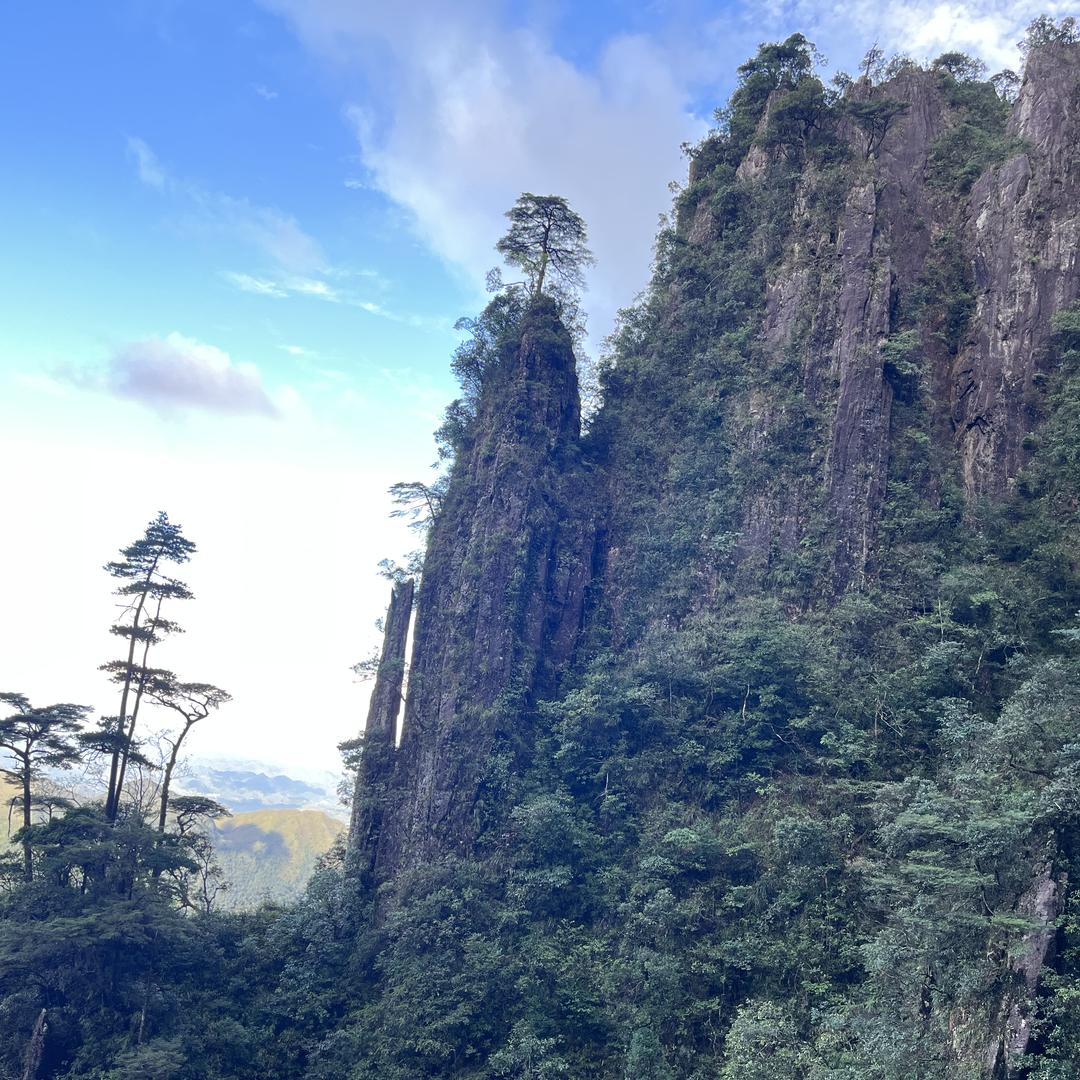 农家鲜果园批发