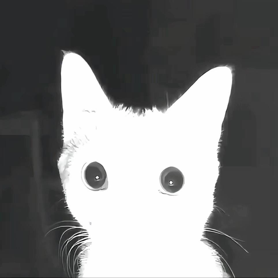 嗷